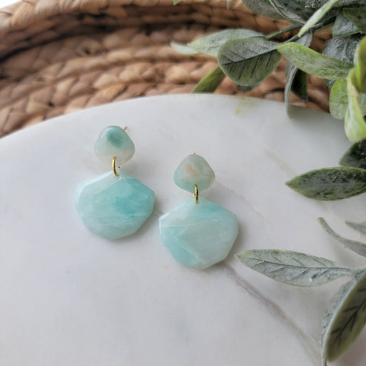 Pair of light blue earrings on a white surface with green leaves in the background